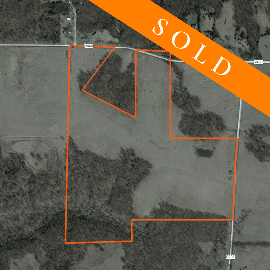 Randolph County 90 Acres of Multi-Use Property